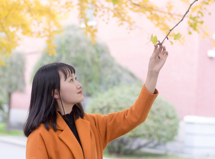 菲律宾外交部学历认证多久(外交部业务分享)